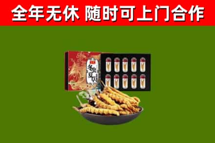 沭阳回收冬虫夏草价格